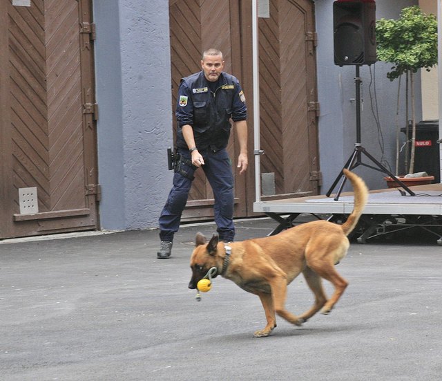 Belohnung für die harte Arbeit - Freude am Spiel mit dem Ball