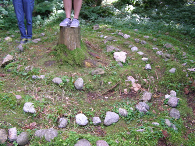 Steinkreise, um vor- und zurückgehen, in die Vergangenheit schauen, meditieren; der Wald ist der Beginn von allem. Werden und Vergehen. Vollendete Harmonie. Magie. Die Kraft der Bäume.