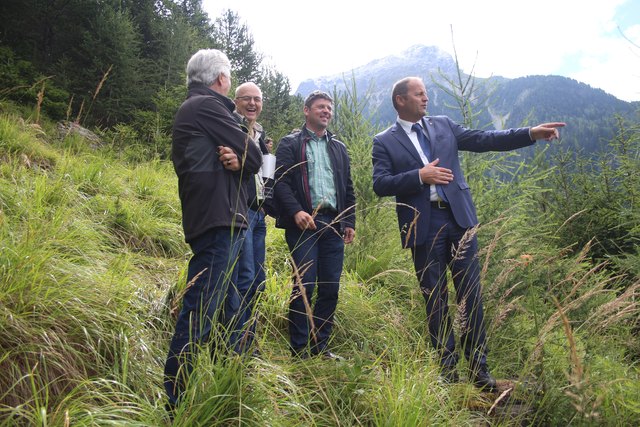 Soweit das Auge reicht, gesunder und gepflegter Schutzwald, dafür bekamen die Förster vor einigen Jahren schon eine Auszeichnung.