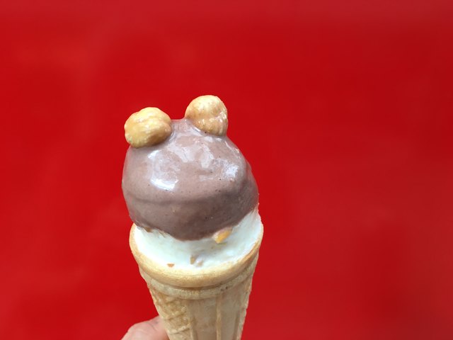 Eisfrosch in der Sommersonne