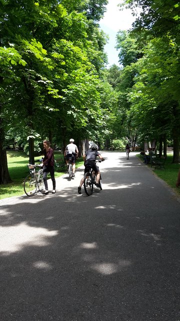 Die Ordnungswache am Rad – die gemeine Bürgerin muss schieben. Dieses Bild aus dem Stadtpark schickte uns WOCHE-Leser Chris. | Foto: Chris