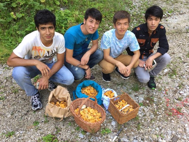 Walter Friedrich suchte mit afghanischen Flüchtlingen Schwammerln.
