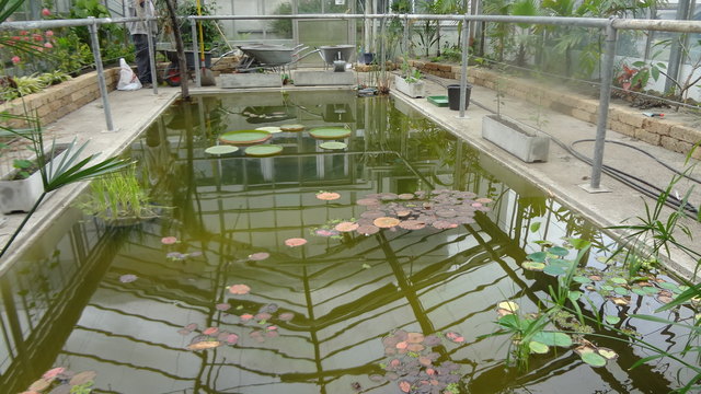 Mai - Vorbereitungsarbeiten