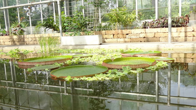 Mai - erste Bepflanzung