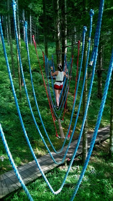 ...in luftigen Höhen- Hochseilgarten Gleinkersee