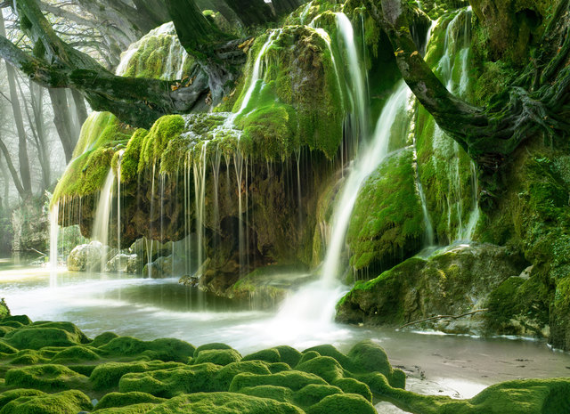 Foto: Danut-Adrian Borda