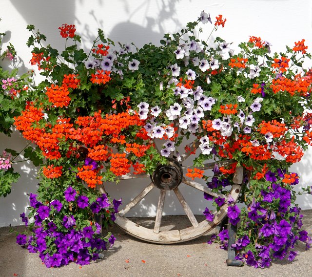 blumenkasten flechtoptik Flexi-Design Blumenkasten mit Sichtschutz fr Balkone  Potflex