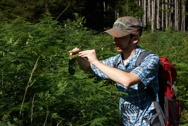 Botaniker Thomas Sansone für die Naturfreunde unterwegs
