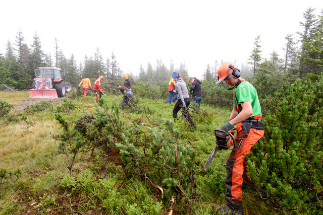 Befreiten Moorflächen vom Gehölz: Bergwacht, Landjugend und Bundesforste. | Foto: Wolfgang Simlinger