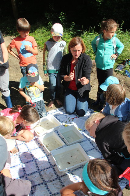 Christine Ortner erklärt den Kinder die verschiedenen Wasserlebewesen.