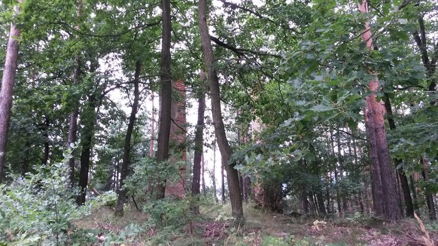 So sieht man den Galgen aus der Ferne