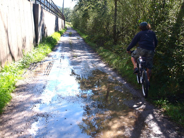 Land unter! Gefährliche Ausweichemanöver am Radweg entlang der Drau bei Weißenstein | Foto: Müller