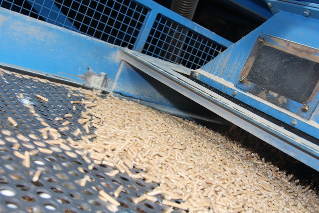 Die Pellets werden ordentlich durchgeschüttelt um eventuelle Größenunterschiede auszusortieren