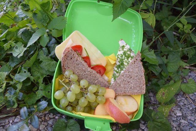 Vollkornbrot und frisches Obst und Gemüse sollten fixer Bestandteil der Schuljause sein. | Foto: Angelika Pehab