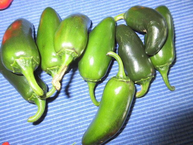 JALAPENOS, Scoville: 5.000