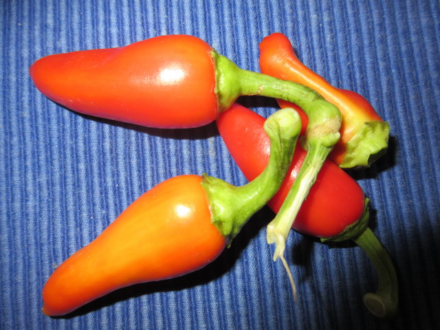 PFEFFERONI, Scoville: 200