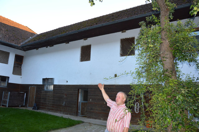 Stolz auf seine Schwalbennester im Innenhof und im Kuhstall ist der Waldneukirchner Klaus Diwald