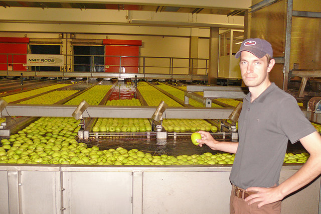  GF Wolfgang Ilzer vom Obstlager Puch. Die Äpfel werden von dort nach ganz Europa exportiert, auch nach Ägypten.