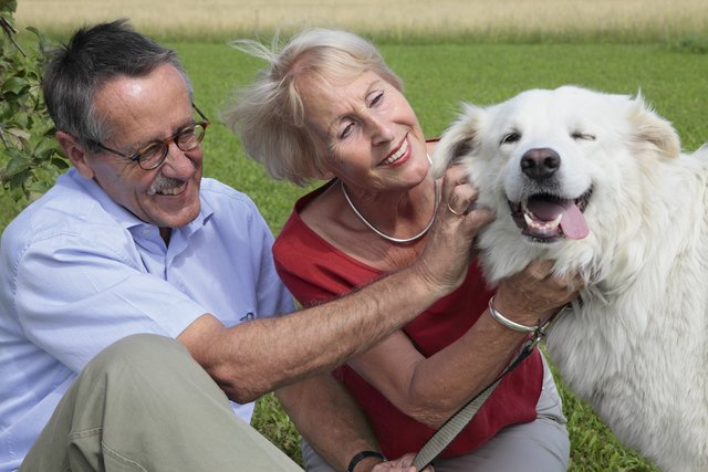 Die "Tierfreunde Österrreich" bitten Hundehalter um Vorsicht. (Symbolfoto) | Foto: RMA-Archiv/MEV-Verlag GmbH, Germany/Eckart Seidl