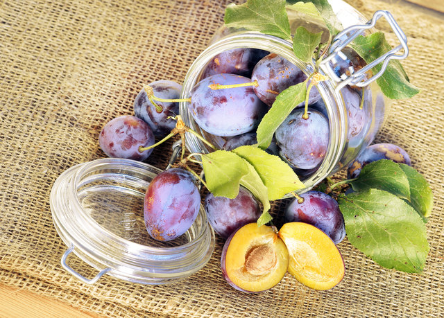 Zwetschken zählen zum heimlichen Superfood Österreichs und sind frisch gegessen besonders gesund. | Foto: Johanna Mühlbauer/Fotolia.com