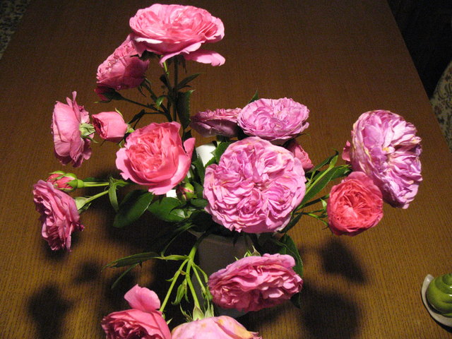 Wurden leider durch Wind und den vielen Regen abgeknickt.