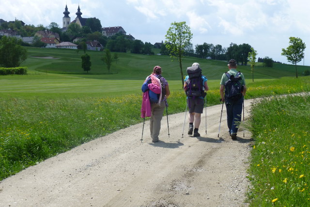 Foto: Hofschwaiger