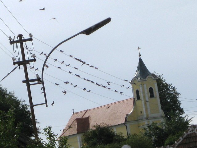 ... noch gibt es ein paar Freileitungen, leider werden es immer weniger...