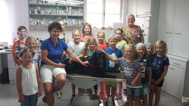 Mit dem Stethoskop durften die Kinder das Herz des Hundes abhorchen