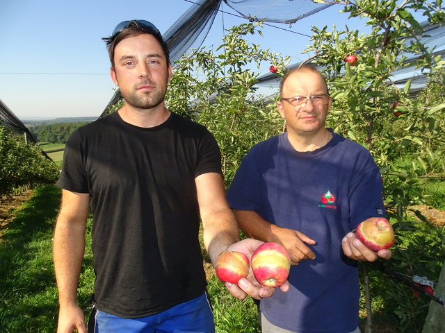 Sorgenvoll blicken Alexander Spätauf (l.) und Anton Gangl auf die spärliche Ernte, die großteils Frostringe trägt.