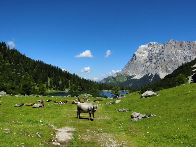Seebensee mit Zugspitze
