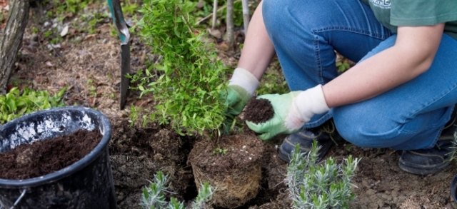 (c) Natur im Garten / Alexander Haiden