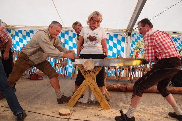 Der Sägewettbewerb am Oktoberfest in St. Georgen steigt am Sonntag um 14 Uhr | Foto: Handler