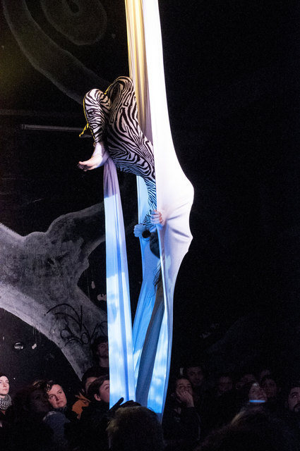 Am 17. September ist Daniela Staudinger mit ihrer Aerial Silk Performance in der Kunstfabrik Groß Siegharts zu sehen.
