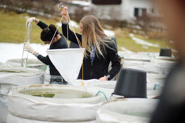 Am WasserCluster erforscht man die Goldalgen im Lunzer See. | Foto: Weinfranz