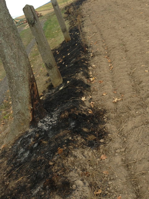 In Neuriegers gingen Anfang der Woche Feldraine in Flammen auf.