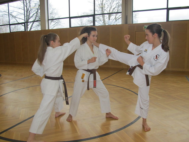Bei den Karate Anfängerkursen im September kann "geschnuppert" werden.