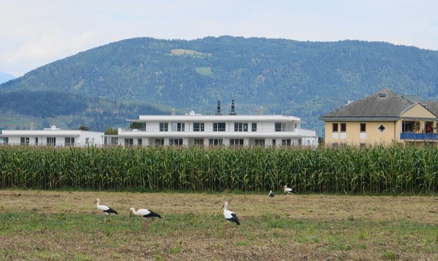 auf dem Weg in den Süden Zwischenstopp in Villach