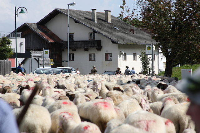 Kurz nach Grinzens