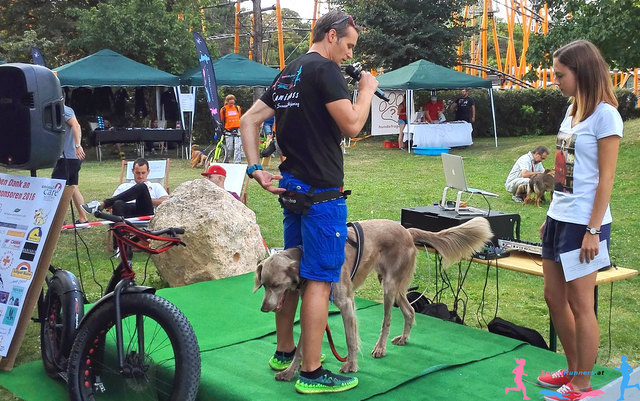 Erklärung des Canicross Gurtes © Speedrunners.at