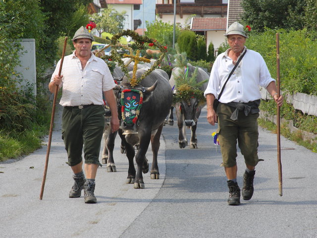 Kurz vor Grinzens