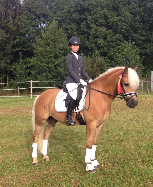 Nicole Weiß erreichte mit ihrem Haflinger in Hartberg gute Platzierungen.
