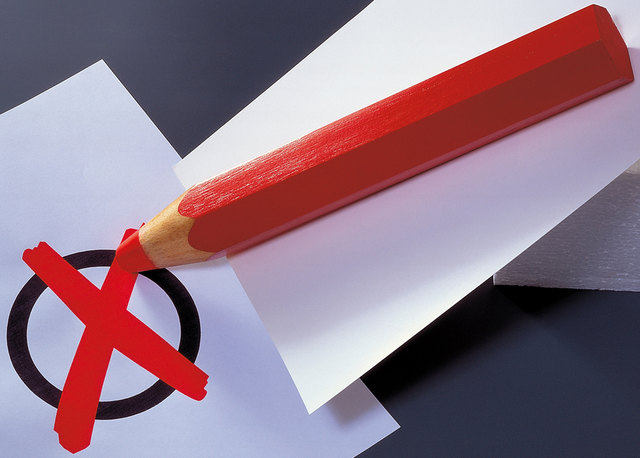 Die Wahl zum Bundespräsidenten wird verschoben. Sie findet nun in der Adventszeit statt