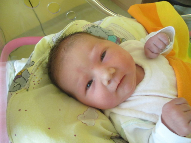 EMILIA ZEINER Geboren: 7.9.2016 um 21:19; Größe: 56 cm; Gewicht: 4.400 g; Wohnort: 3701 Großwiesendorf