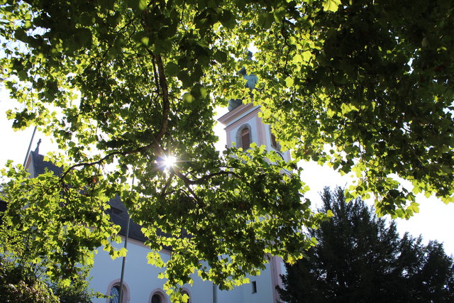 Die Kirche und die Sonne *blinzeln* schon durchs "Blätterwerk". Wir sind spät dran...