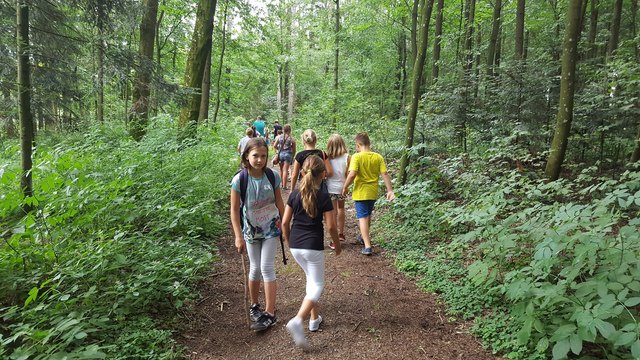 Die 15 Kinder hatten in der Natur viel Spaß bei der Schatzsuche. | Foto: Günther Weiß