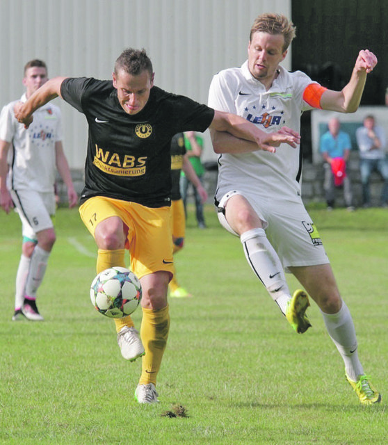 Tomas Michalek (li.) traf in Bad Kreuzen zum 2:1.