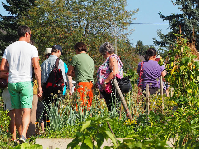 Familien, die am Kinderprogramm teilnehmen, einen Gutschein für einen kostenlosen Eintritt zum Familientag im Botanischen Garten am 1. Oktober 2016.