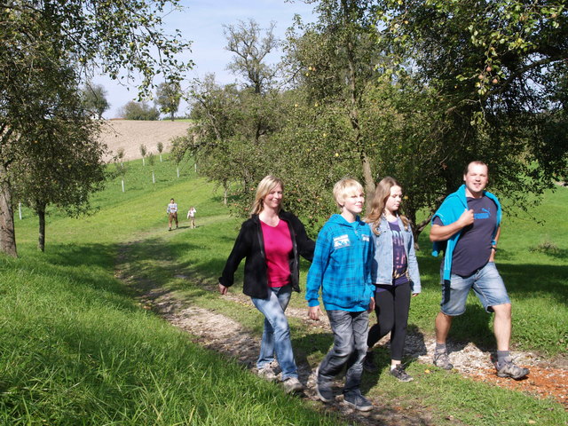 Eine erlebnis- und lehrreiche Wanderung im Zeichen des Weberbartl-Apfels für die gesamte Familie. | Foto: Naturpark Obst-Hügel-Land