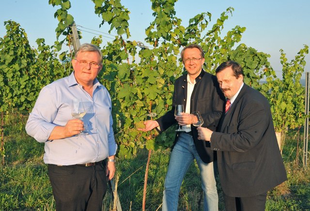 Ludwig Neumayer, Bürgermeister Mag. Matthias Stadler und Mag. Werner Gruber vom Planetarium Wien prüfen im Weingarten die Qualität der Trauben des künftigen Hauptstadtweins.