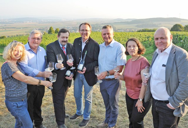 Die Leiterin des Tourismusbüros Eva Prischl, Ludwig Neumayer, Mag. Werner Gruber, Bürgermeister Mag. Matthias Stadler, Landesfeuerwehrkommandant Dietmar Fahrafellner, Mag. Mabel und Mag. Karl Neumayer genießen die herrlichen Ausblick vom Weingarten auf die Landeshauptstadt. | Foto: Josef Vorlaufer